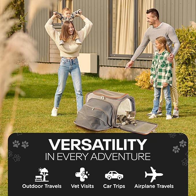 Premium Expandable Pet Carrier with Wheels - Airline Approved Rolling Travel Carrier for Small Dogs & Cats - Detachable Design with Name Tag, Seatbelt Buckles & Treat Pocket (18x11x11) - Ice Gray