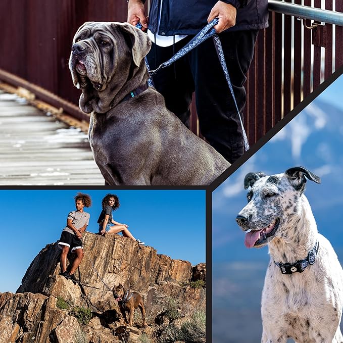 Wolfgang Heavy Duty Martingale Dog Collar with Quick Release Nylon Buckle for Walking & Training, WolfMountain Print, Medium