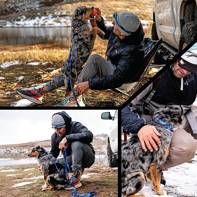 Wolfgang Heavy Duty Martingale Dog Collar with Quick Release Nylon Buckle for Walking & Training, StarryWolf Print, Medium