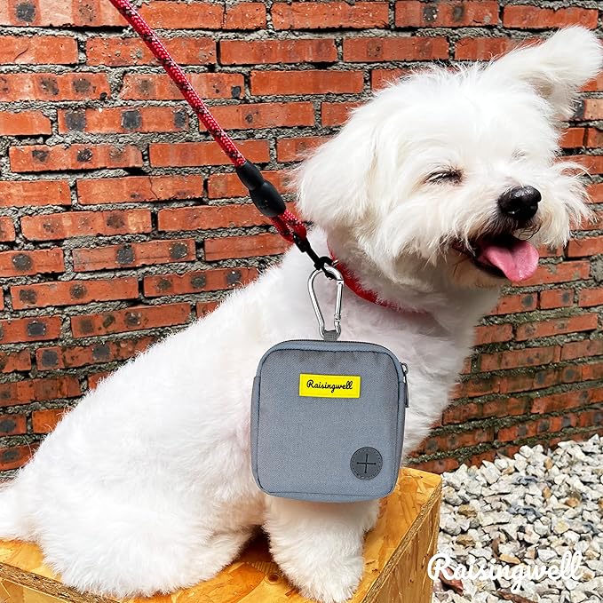 Dog Treat Pouch for Pet Walking and Training with Clicker Poop Bags Small Fanny Zipper Pack Holder for Puppy Snack Dispenser Kit for Leash and Outdoor Use (Gray)