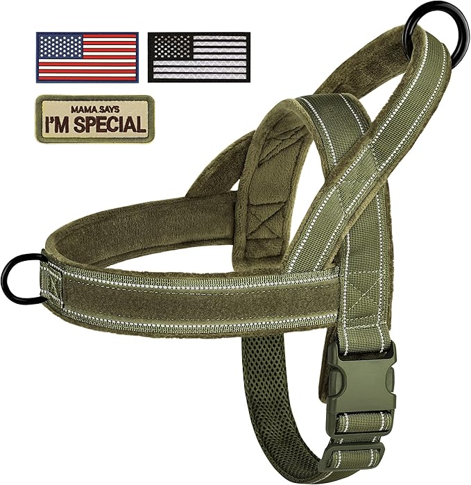 Forestpaw No Pull Dog Harness with Large Handle,Slip on Reflective Vest with Quick Release Buckle,Comfortable Flannel Lining for Medium Large Dogs Walking Training (Includes 3 Patches),Green XL