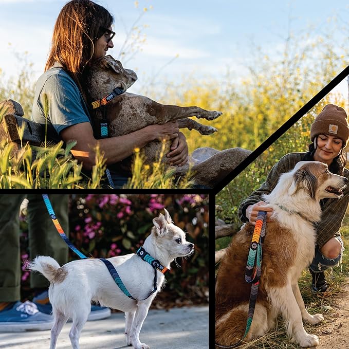 Wolfgang Heavy Duty Martingale Dog Collar with Quick Release Nylon Buckle for Walking & Training, ChevTech Print, Large