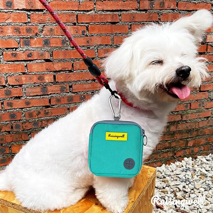 Dog Treat Pouch for Pet Walking and Training with Clicker Poop Bags Small Fanny Zipper Pack Holder for Puppy Snack Dispenser Kit for Leash and Outdoor Use (Green)