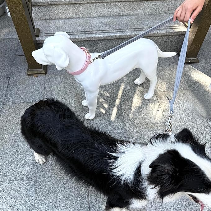 Double Ended Dog Leash,for Obedience Training Easy to Use,Lightweight,Soft for Large and Medium Dogs (Grey, 1M*2.5CM)