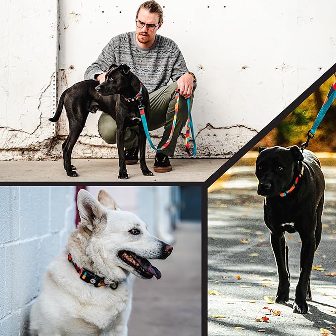 Wolfgang Heavy Duty Martingale Dog Collar with Quick Release Nylon Buckle for Walking & Training, ShatterShapes Print, Extra Large