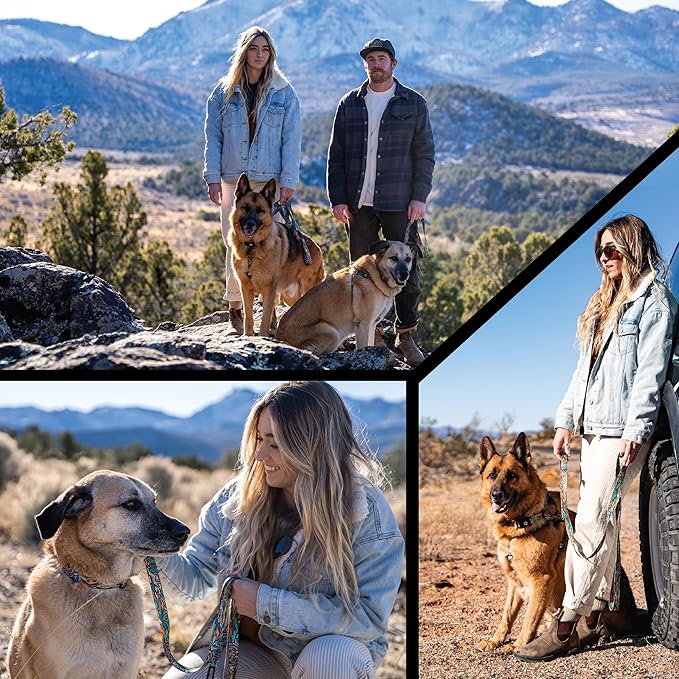 Wolfgang Heavy Duty Martingale Dog Collar with Quick Release Nylon Buckle for Walking & Training, WildWolf Print, Large