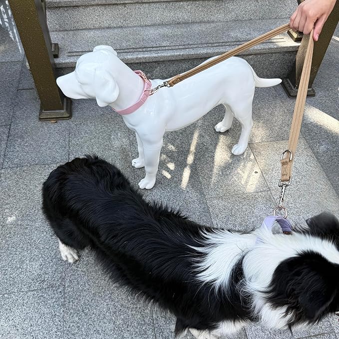 Double Ended Dog Leash,for Obedience Training Easy to Use,Lightweight,Soft for Large and Medium Dogs (Light Military Tan, 1M*2.5CM)