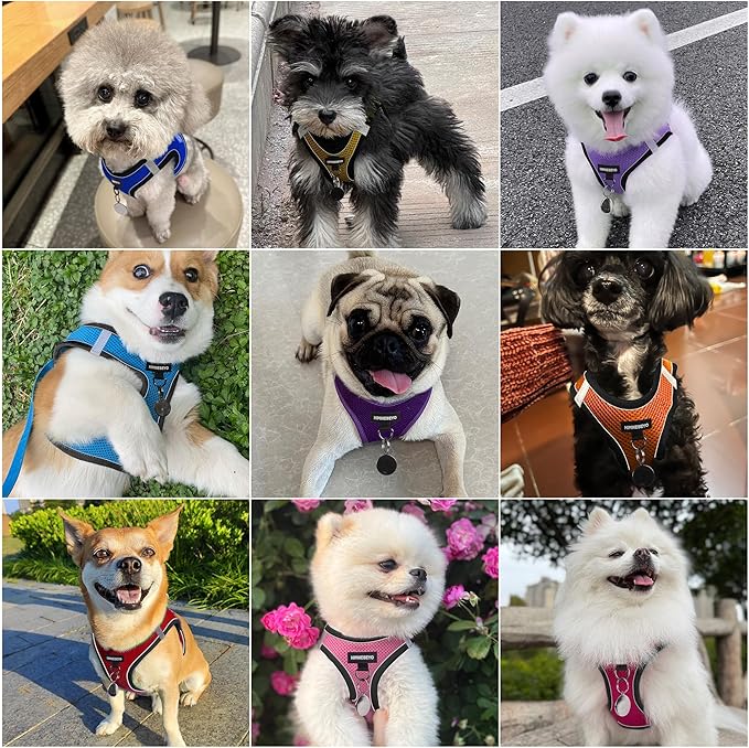 Dog Harness and Leash Set, Dog Harness for Dogs No Pull, No-Chock Step-in Reflective Breathable Lightweight Easy Walk Vest Harnesses with Safety Buckle for Small Dogs, Cats (Purple, S)