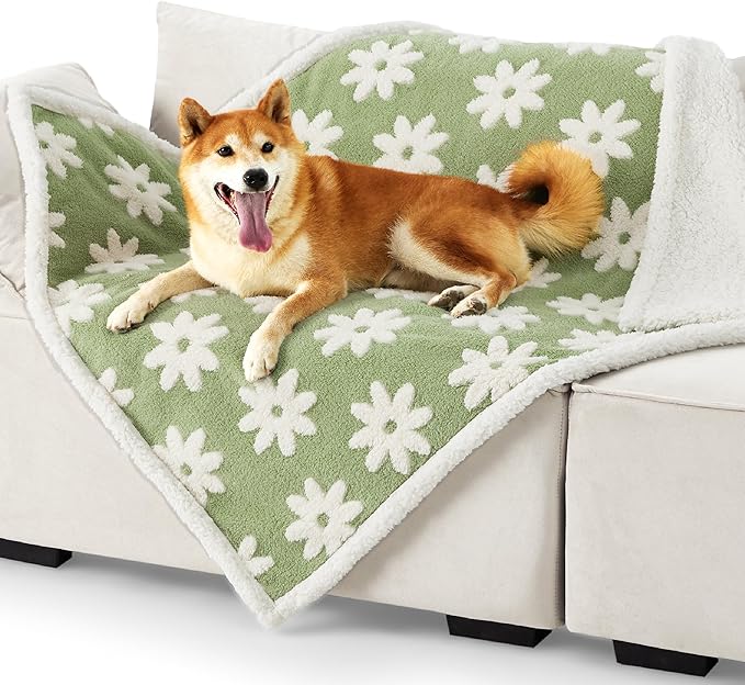 LE SURE Waterproof Dog Blanket for Large Dogs - Washable Double Sided Dog Blankets with Warm Jacquard Shag and Soft Sherpa Fleece, Pet Cat Blanket for Couch Protection, 3D Textured Cloud, Green