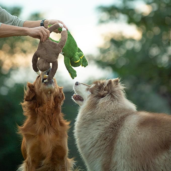 Squeaky Disk & Built-in Rope Dog Plush Toy, Bustling Safari Collection, 15", for Dogs of All Breeds (Sloth)