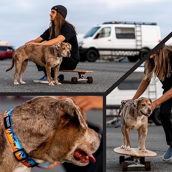 Wolfgang Heavy Duty Martingale Dog Collar with Quick Release Nylon Buckle for Walking & Training, SunsetPalms Print, Large