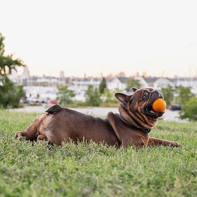 Chew King Dog 2.5 Inch Bacon Flavor Rubber Balls 3 Pack Large Breeds