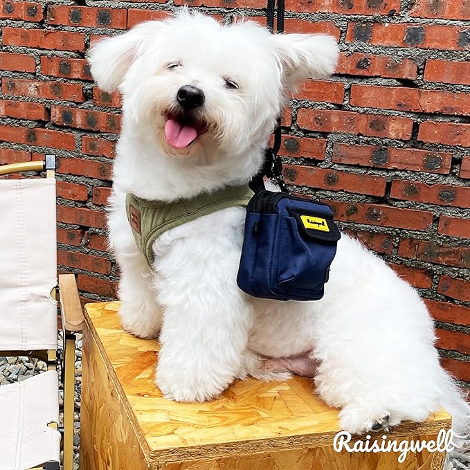 Dog Treat Pouch for Pet Walking and Training with Clicker, Poop Bags and Three Bags Design Small Fanny Zipper Pack Holder for Puppy Snack Dispenser Kit for Leash and Outdoor Use (Orange)