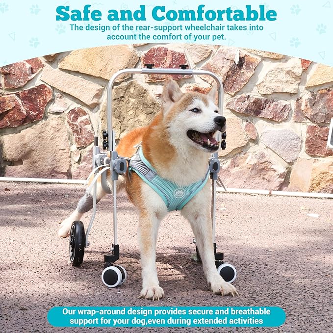 Dog Wheelchair for Back Legs,Adjustable Pets Cart Mobility Aids for Little Pets,Chest & Thigh Support,Suitable Small Medium Dogs (Two Rounds, M)