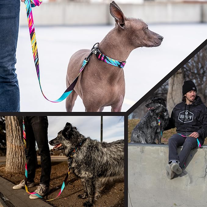 Wolfgang Heavy Duty Martingale Dog Collar with Quick Release Nylon Buckle for Walking & Training, FuzzyTails Print, Small