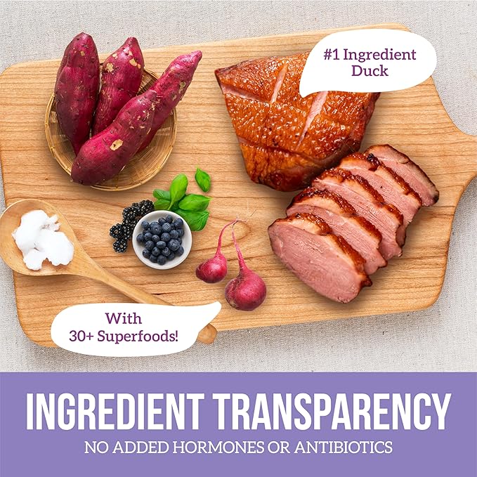 Health Extension Grain Free Duck & Sweet Potato Dry Dog Food (10 lb / 4.54 kg) - Lean Protein Formula with Turmeric & Antioxidants for Healthy Skin & Digestion