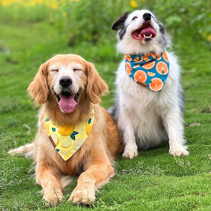 Cute Fruit Dog Bandanas 2 Pack, 4 Patterns Watermelon Lemon Orange Melon, Summer Dog Bibs for Large and XL Breed, Reversible Boy and Girl Pet Scarf(X-Large)