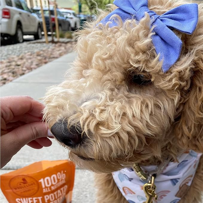 Wholesome Pride Sweet Potato Bites 100% All-Natural Single Ingredient Dog Treats, 16 oz