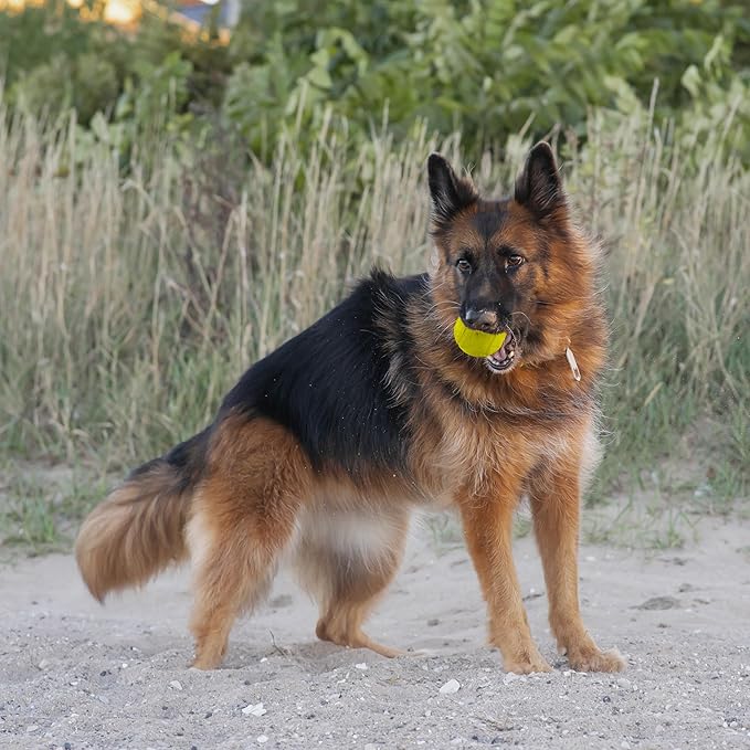 Chew King Flavored Rubber Ball Collection, 4 Inch Chicken Flavor Rubber Fetch Balls 2-Pk