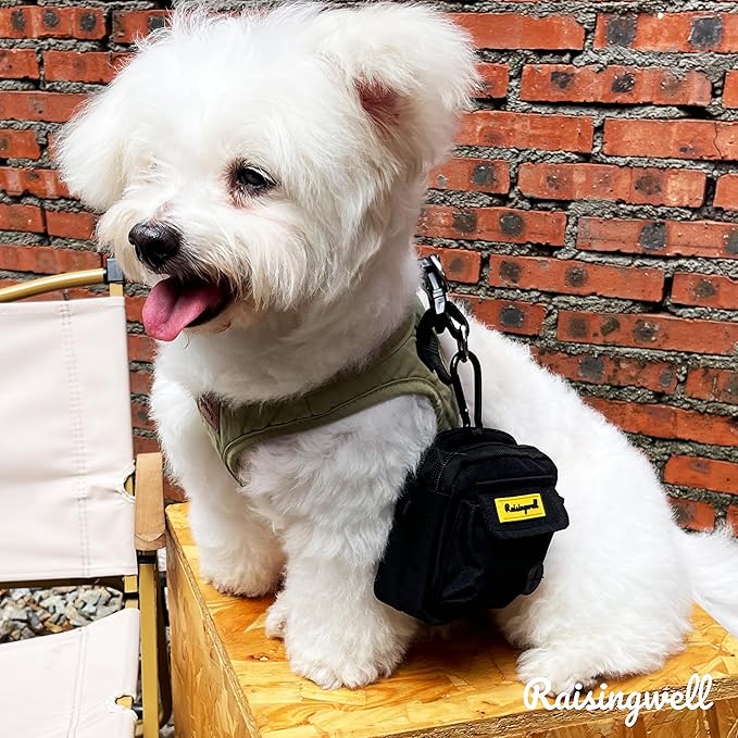 Dog Treat Pouch for Pet Walking and Training with Clicker, Poop Bags, and Three Bags Design Small Fanny Zipper Pack Holder for Puppy Snack Dispenser Kit for Leash and Outdoor Use (Black)