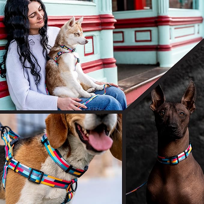 Wolfgang Heavy Duty Martingale Dog Collar with Quick Release Nylon Buckle for Walking & Training, Mixtape Print, Large