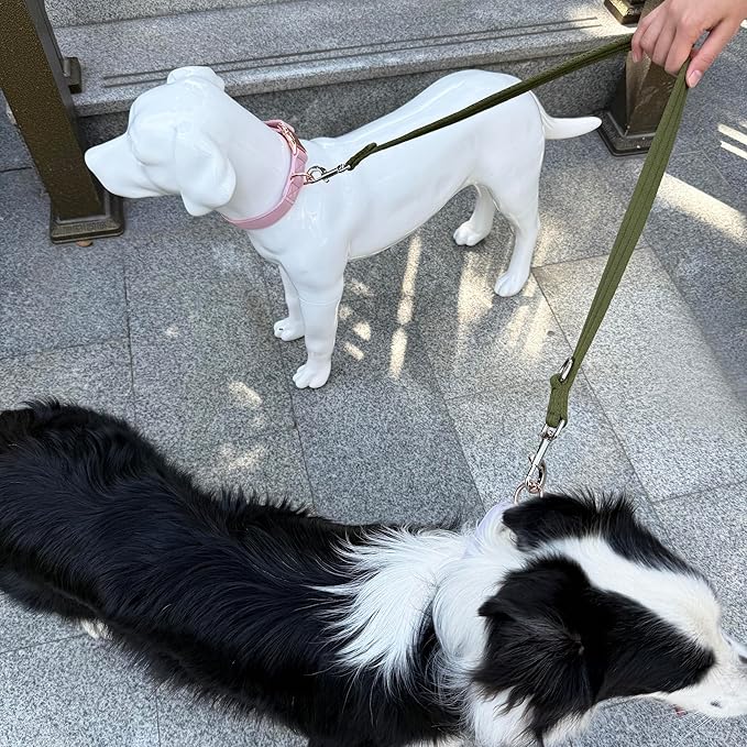 Double Ended Dog Leash,for Obedience Training Easy to Use,Lightweight,Soft for Large and Medium Dogs (Army Green, 1M*2.5CM)