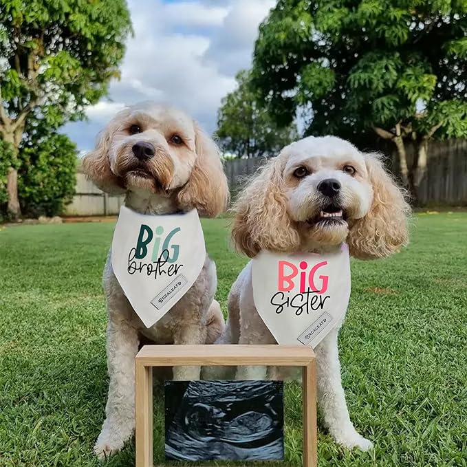 Realeaf Big Sister Dog Bandanas Pet Scarf for Medium and Large Female Dogs New Baby Announcement Pet Accessories Pregnancy Reveal Ideas (Big Sister, Large)