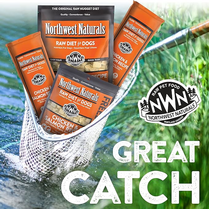 Northwest Naturals Freeze-Dried Chicken & Salmon Dog Food - Bite-Sized Nuggets - Grain-Free, High-Protein, Raw Diet, Human-Grade, Limited Ingredients, All Natural, Omega-3 for Skin & Coat - 12 Oz