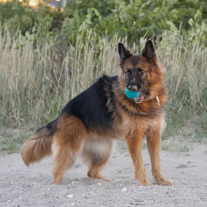 Chew King Flavored Rubber Ball Collection, 4 Inch Peanut Butter Flavor Rubber Balls 2-Pk