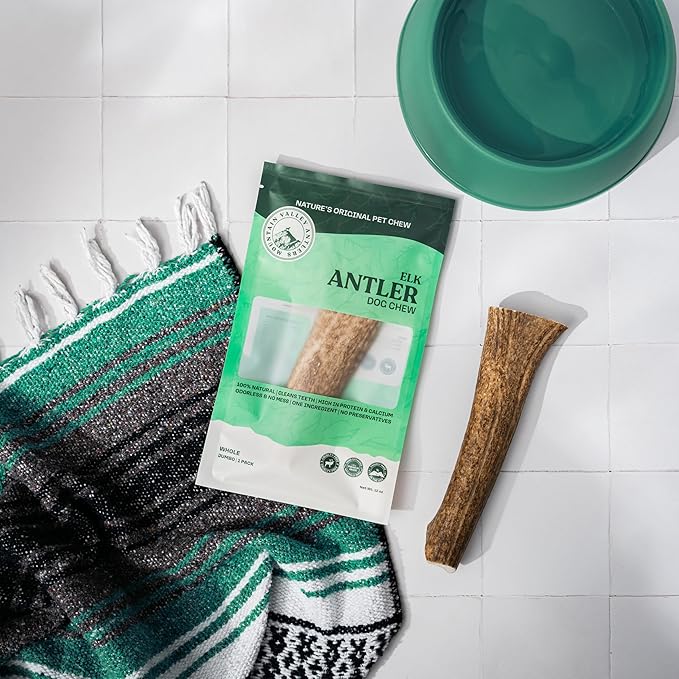 Mountain Valley Elk Antlers for Dogs - 100% Natural & Organic Chew for Aggressive Chewers, No Odor, No Mess, Long Lasting - Wild-Foraged Naturally Shed Antlers in USA - Grade A, Whole Jumbo (1 Pack)
