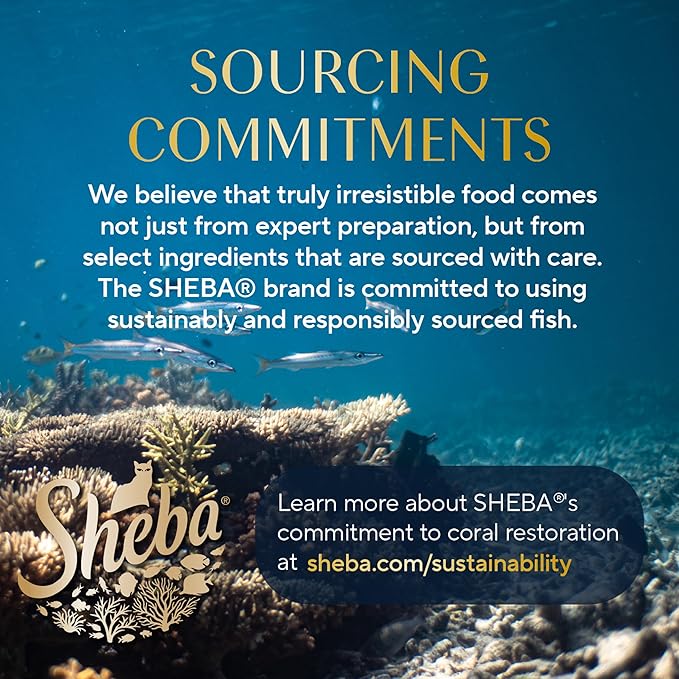 Sheba Perfect Portions Kitten Wet Cat Food Pate Chicken Entree, Salmon Entree, and Turkey Entree, 2.6 oz. Twin-Pack Trays (24 Count, 48 Servings)