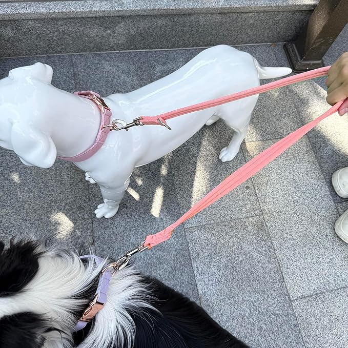 Double Ended Dog Leash,for Obedience Training Easy to Use,Lightweight,Soft for Large and Medium Dogs (Pink, 1M*2.5CM)