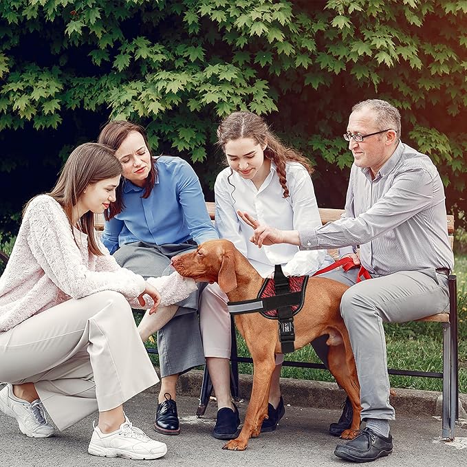 Dogline Dog Harness, Reflective No-Pull Adjustable Vest with Handle for Walking, Training, Breathable, No - Choke Harness for Small, Medium or Large Dogs Room for Patches Zebra Black/Red L 27"-34"