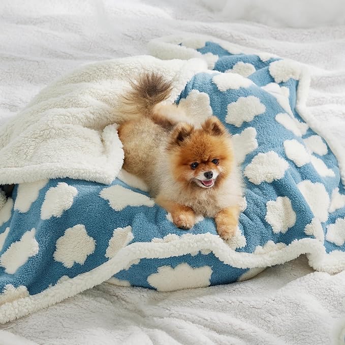 LE SURE Waterproof Puppy Blanket for Small Dogs - Washable Double Sided Dog Blankets with Warm Jacquard Shag and Soft Sherpa Fleece, Pet Cat Blanket for Couch Protection, 3D Textured Cloud, Blue