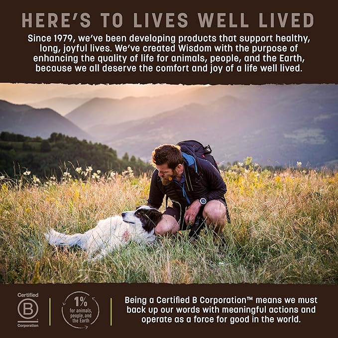 Earth Animal Wisdom Air Dried Dog Food | From The Seed Recipe Premium Natural Dog Food | Plant-Based | All Breeds & Ages | Made in The USA | 2 Pound Bag