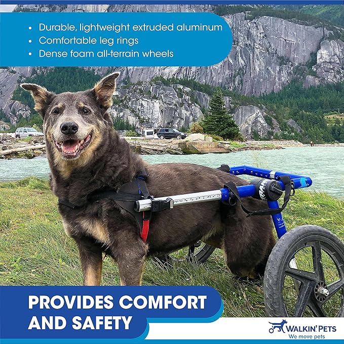 Walkin' Wheels Dog Wheelchair - for Med/Large Dogs 50-69 lbs - Veterinarian Approved - Dog Wheelchair for Back Legs