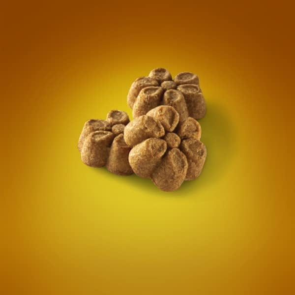 Fruitables Baked Dog Treats, Healthy Pumpkin Treat for Dogs, Low Calorie & Delicious, No Wheat, Corn or Soy, Made in the USA, Pumpkin and Banana Flavor, 7oz