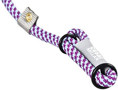 Cesar Millan Slip Lead Leash™ - 2-in-1 Slip Collar Dog Training Lead & Collar | Heavy Duty Durable Weatherproof Rope Leash, No Pull Training | Length 4ft Diameter 4/10”(Regular, Aqua/Purple)