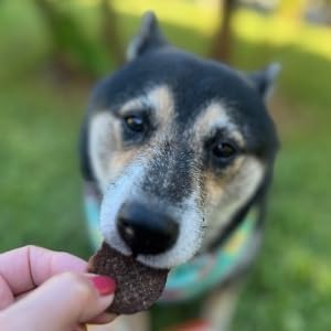 Farm To Pet - Puppy Training Treats Starter Pack Beef 4oz + 2 Chicken & 2 Turkey Snack Chips for Small Dogs - Value Pack Treats, 100% All Natural, Single Ingredient, Puppy Essentials Made in USA