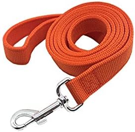 Nylon Dog Leash with 2-Layer, 4 FT/ 6 FT/ 7FT Long, 1 Inch Wide for Medium Large Dogs