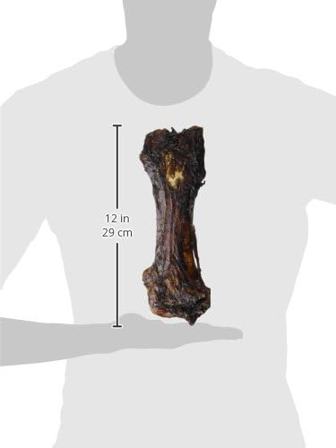 Nature's Logic Extra Meaty Shin Treat, 1 Pack