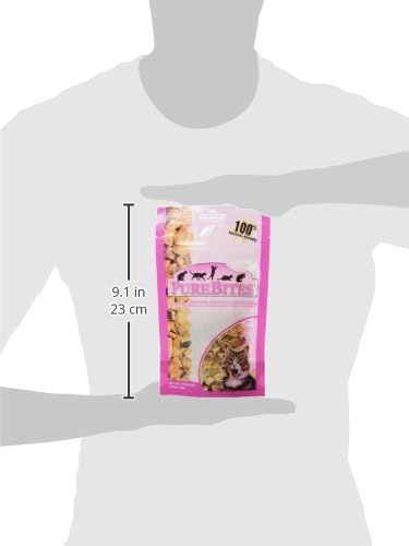 PureBites Salmon Freeze Dried Cat Treats, 0.92Oz | 26G - Value Size