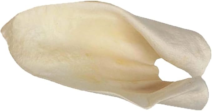 Redbarn Pet Products All-Natural Cow Ears Chews for Dogs - Single Ingredient Rawhide Alternative Supports Joint and Dental Health - Grain Free Treat Made Without Chemicals - Case of 100 Ears