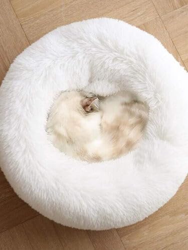 Small Cat Beds for Indoor Cats, Extra Small Dog Bed for Puppy, Washable 16 Inches Pet Bed (Up to 5lbs)