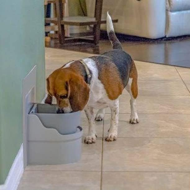 Perpetual Well Automatic Pet Water Bowl (Wall Mount)
