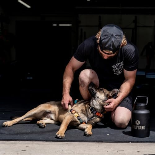 Wolfgang Heavy Duty Adjustable Dog Harness, Pull-Tested to Over 800 lbs for Walking & Training, ChevTech Print, Extra Large