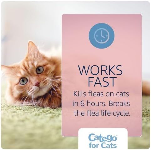 Catego for Cats Flea and Tick Treatment & Prevention (over 1.5 lbs) 3-month supply