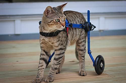 Walkin' Wheels Lightweight – for Small Cats 2 to 20 Pounds – Veterinarian Approved – Cat Wheelchair for Back Legs, for Cats 2-10 lbs, 2-5 inches Leg Height – Blue