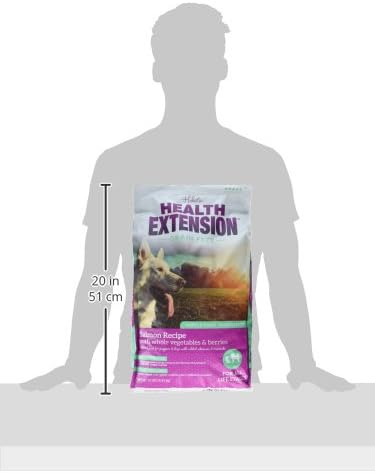 Health Extension Grain Free Salmon & Sweet Potato Dry Dog Food (10 lb / 4.54 kg) - Whole Foods Ingredients Formula with Omega 3 & Antioxidants for All Life Stages Dogs