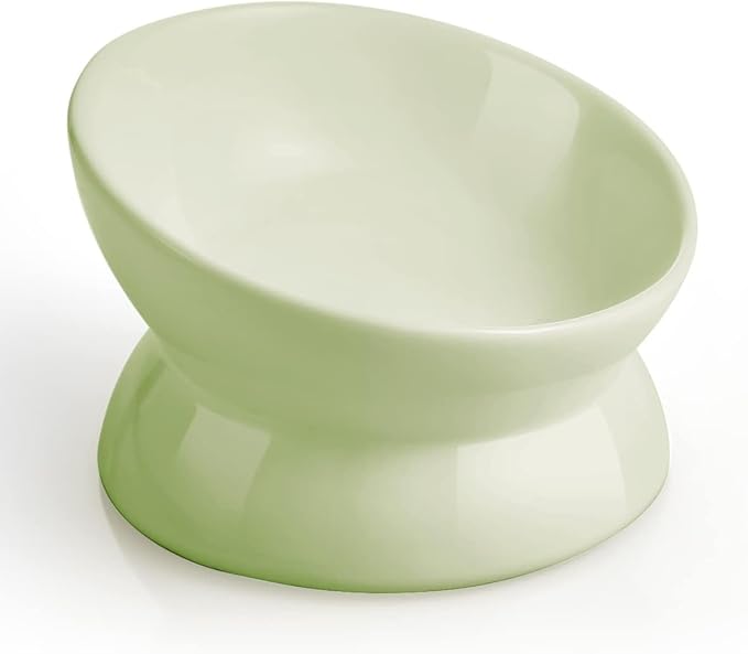 LoeJan Elevated Cat Food Bowl, 5 Oz Ceramic Raised and Tilted Water Bowl, Anti Vomiting and Protect Pets' Spines Dishes for Small Dog, Fat Faced Cat, Kitten (Green, 2 Pack)